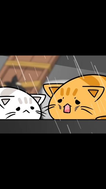 Грустная история с котиком...