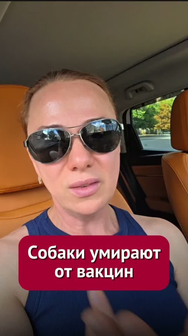 18.09-27.09.2026