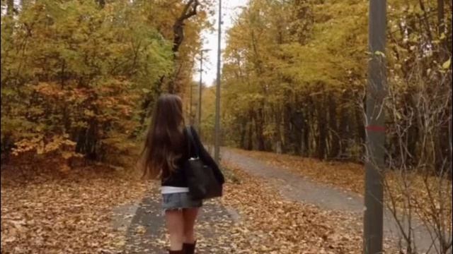 lofi pop на фон
