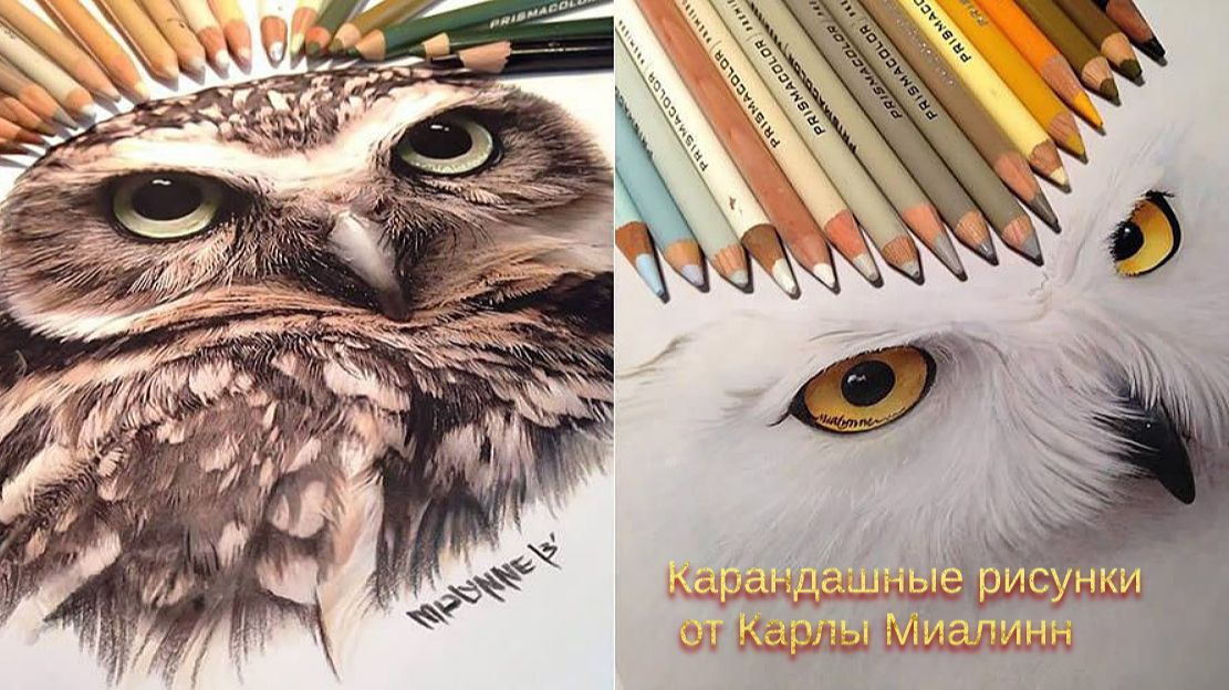 Карандашные рисунки от Karla Mialynne *