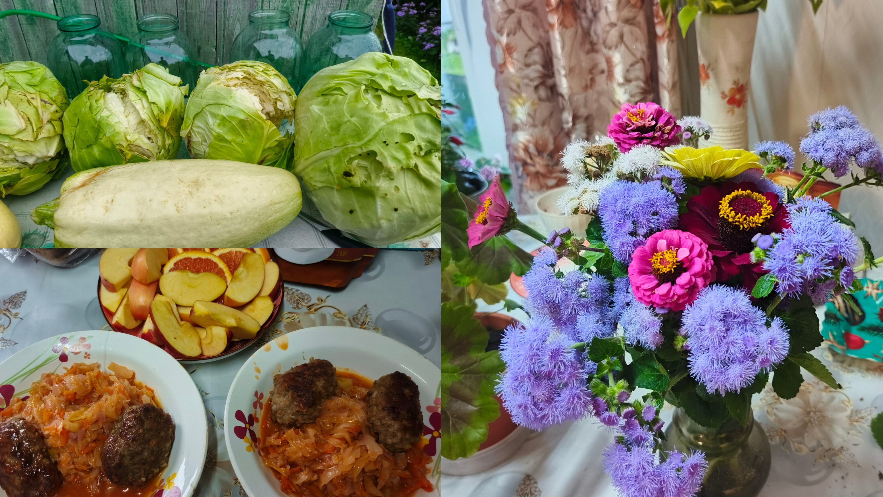 Капуста трескается,собираю урожай.