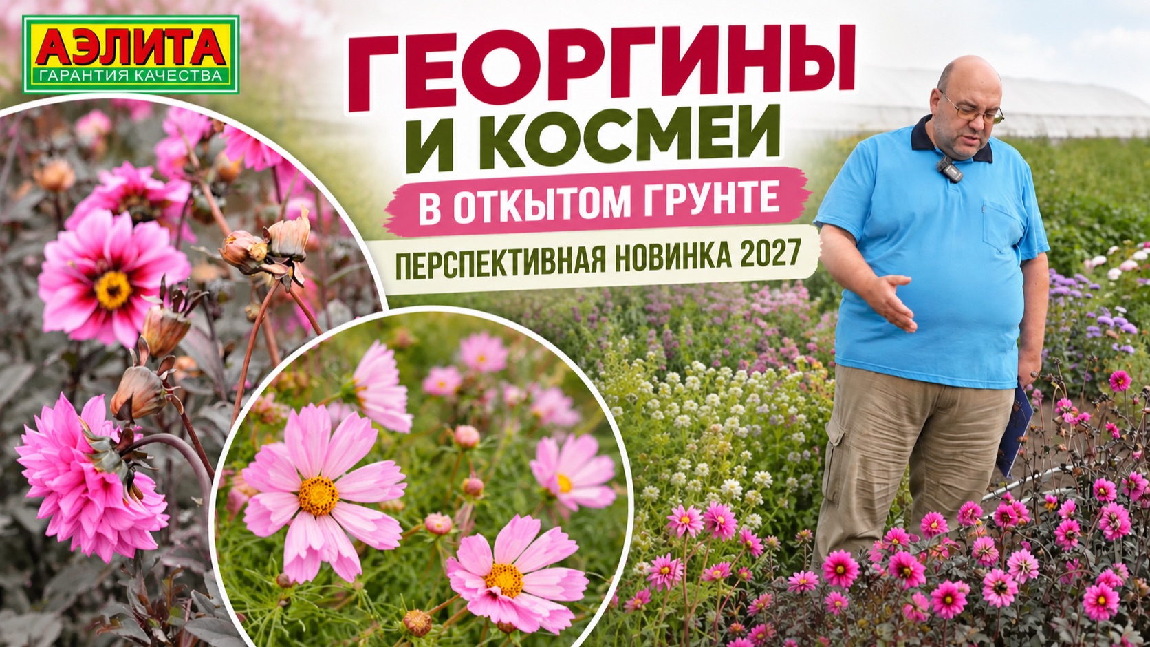 Цветы