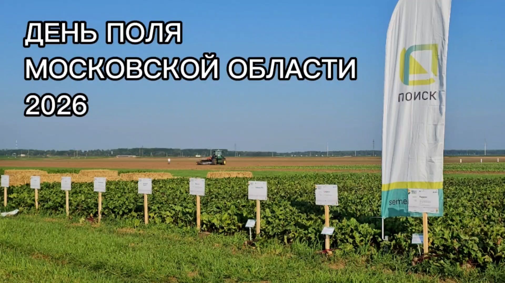 Капуста