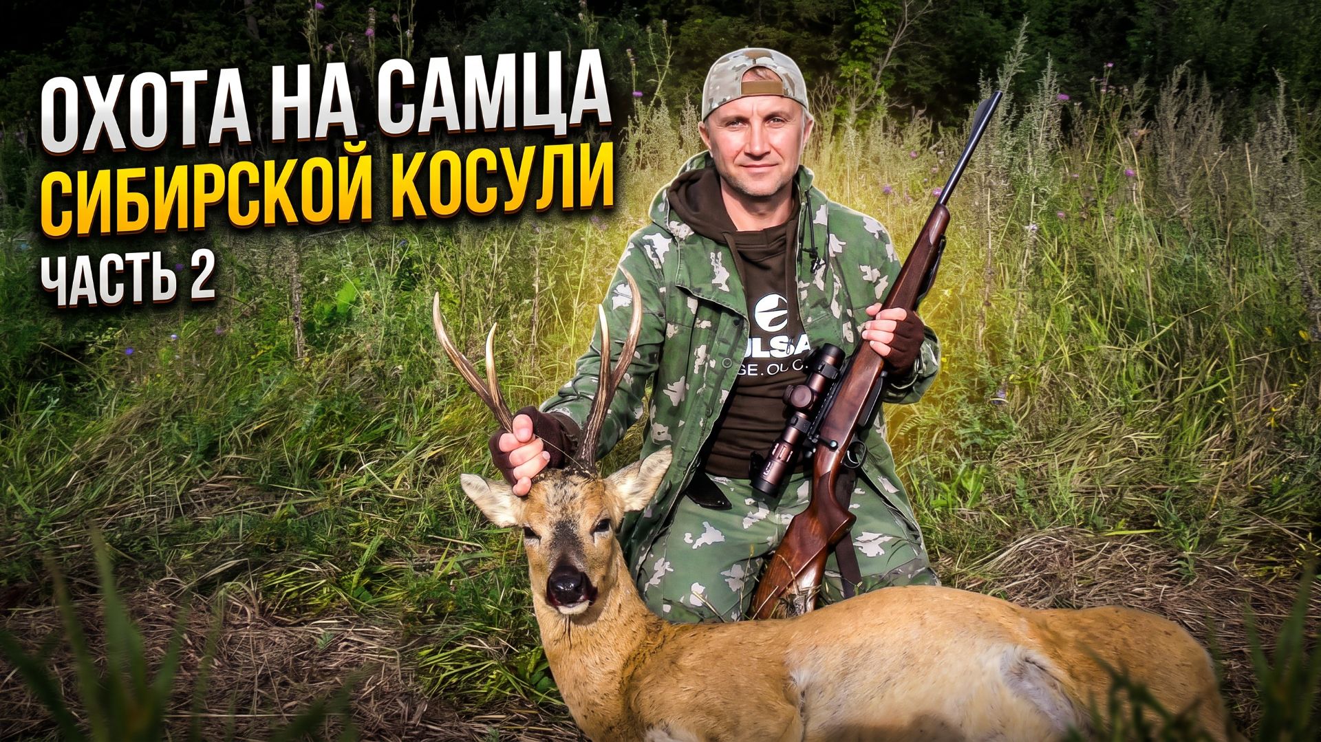 Охота на самца сибирской косули с подхода — Часть 2