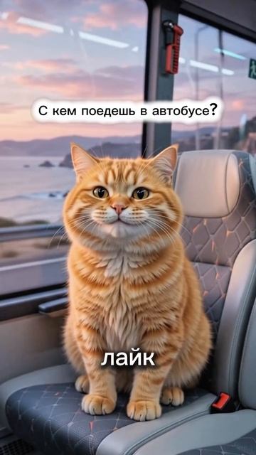 С КЕМ ТЫ БЫ ПОЕХАЛ? Решай игнором лайками и подписками!