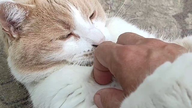 Переезд на юг