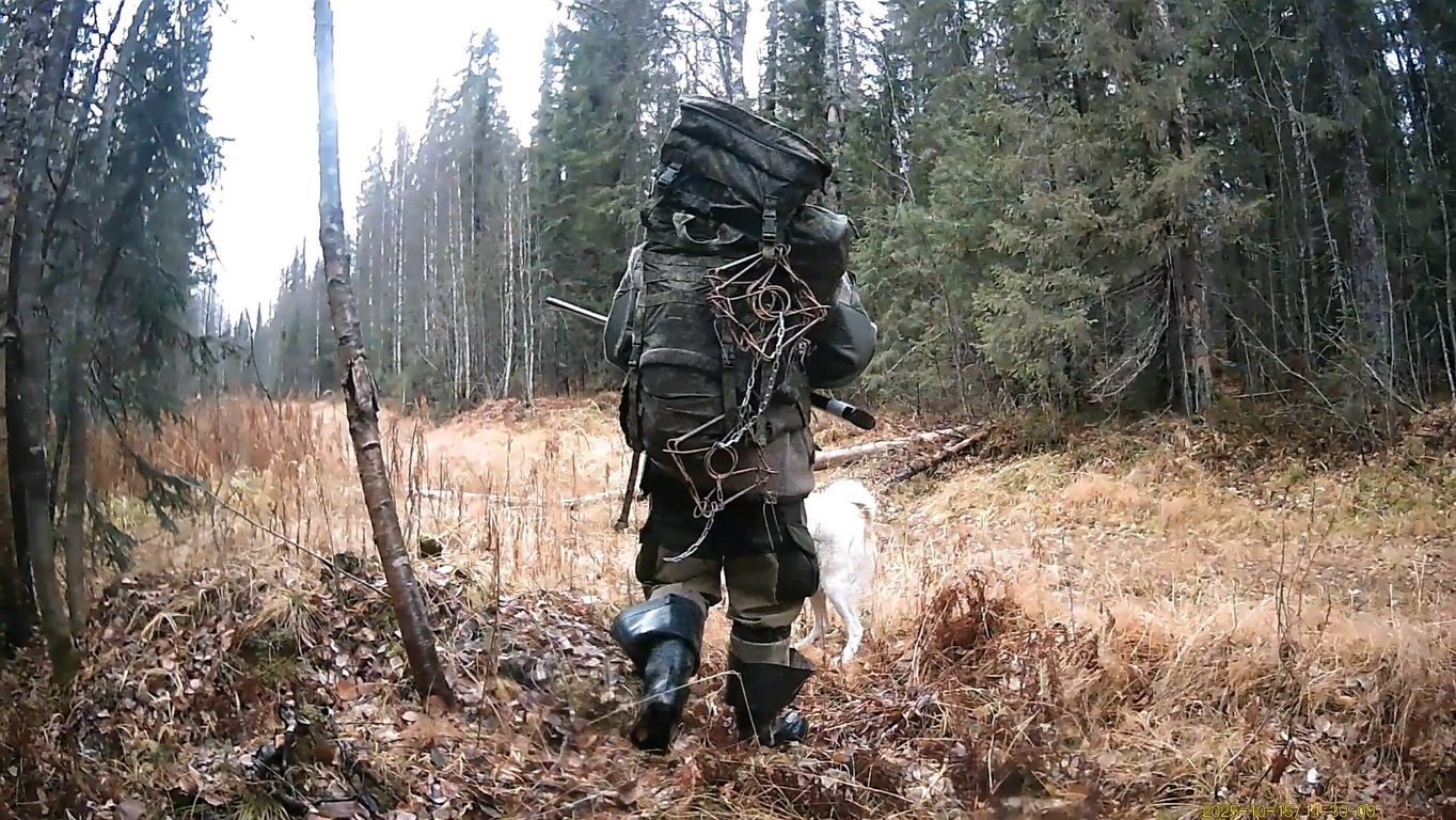 2025 год