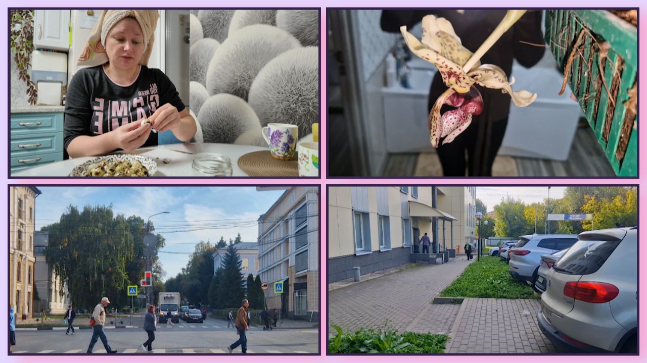 Мариную яйца. Расцвела ОРХИДЕЯ СТАНГОПЕЯ. Забрали МАМУ из ОНКО. Покупки.