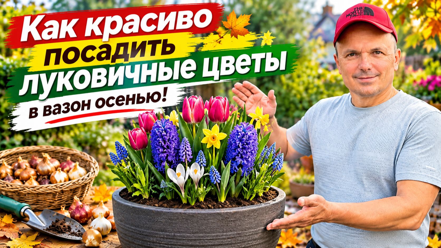 Три способа посадки луковичных цветов в вазон на зиму!
