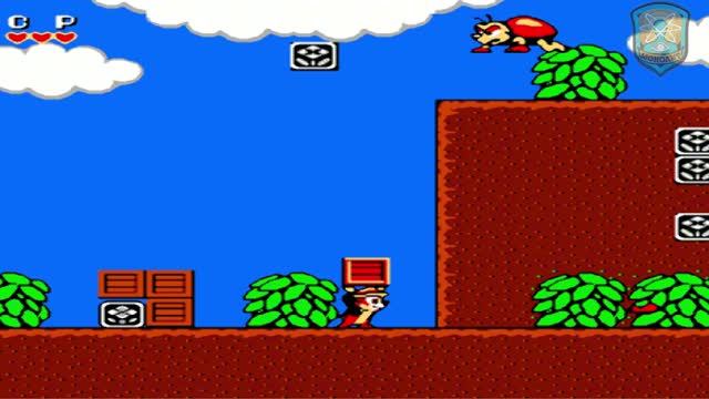 dendy junior