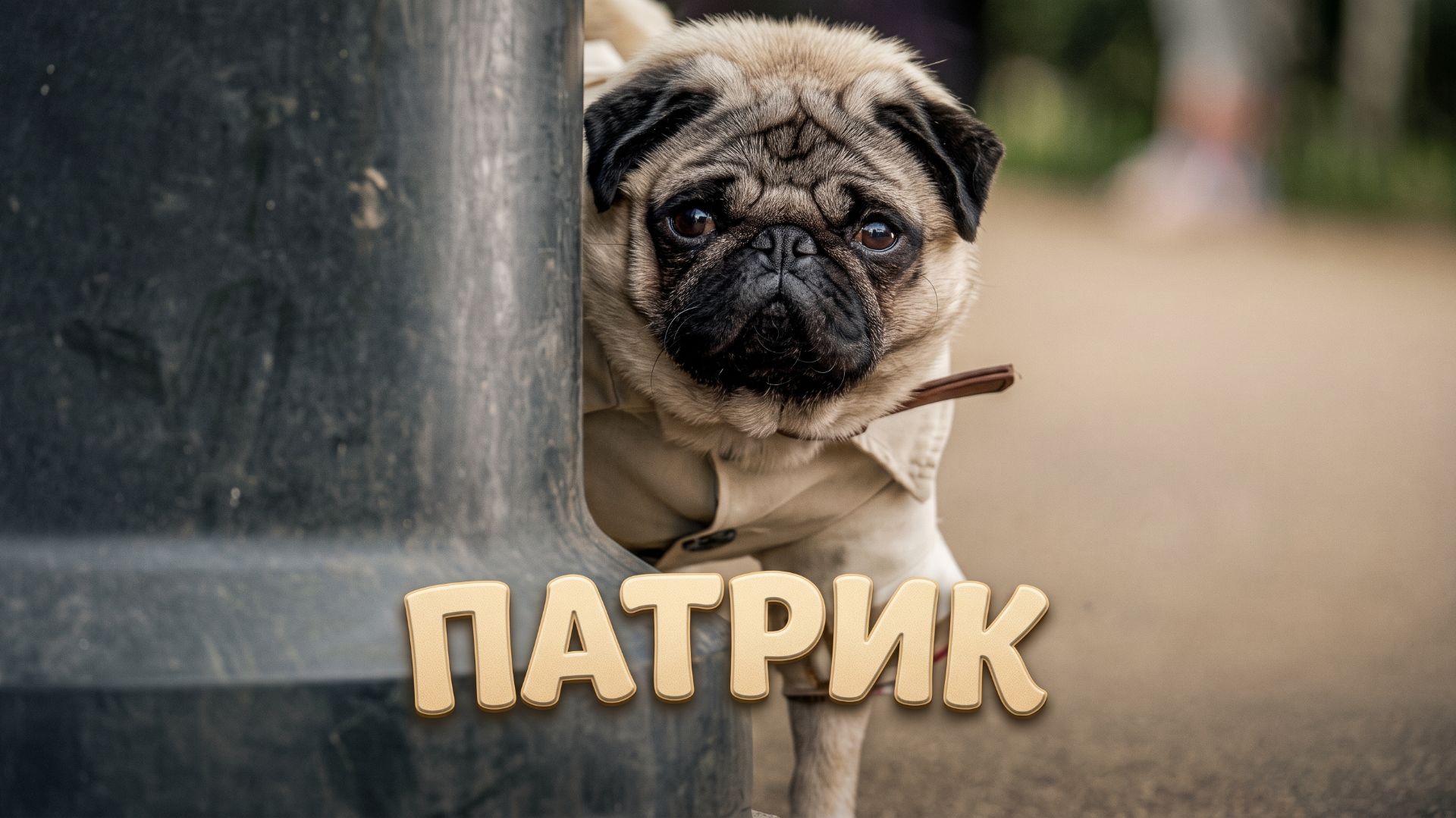 Патрик (2018) / Patrick