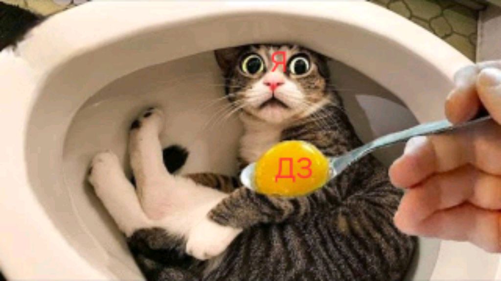 Ухажу из школы