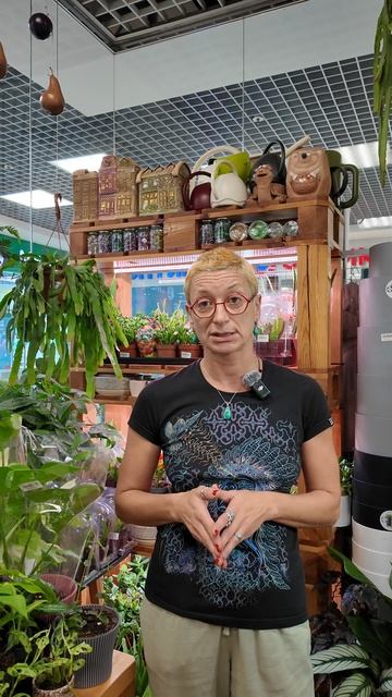 Прямой эфир 26.09.26 в 12-00 по московскому времени