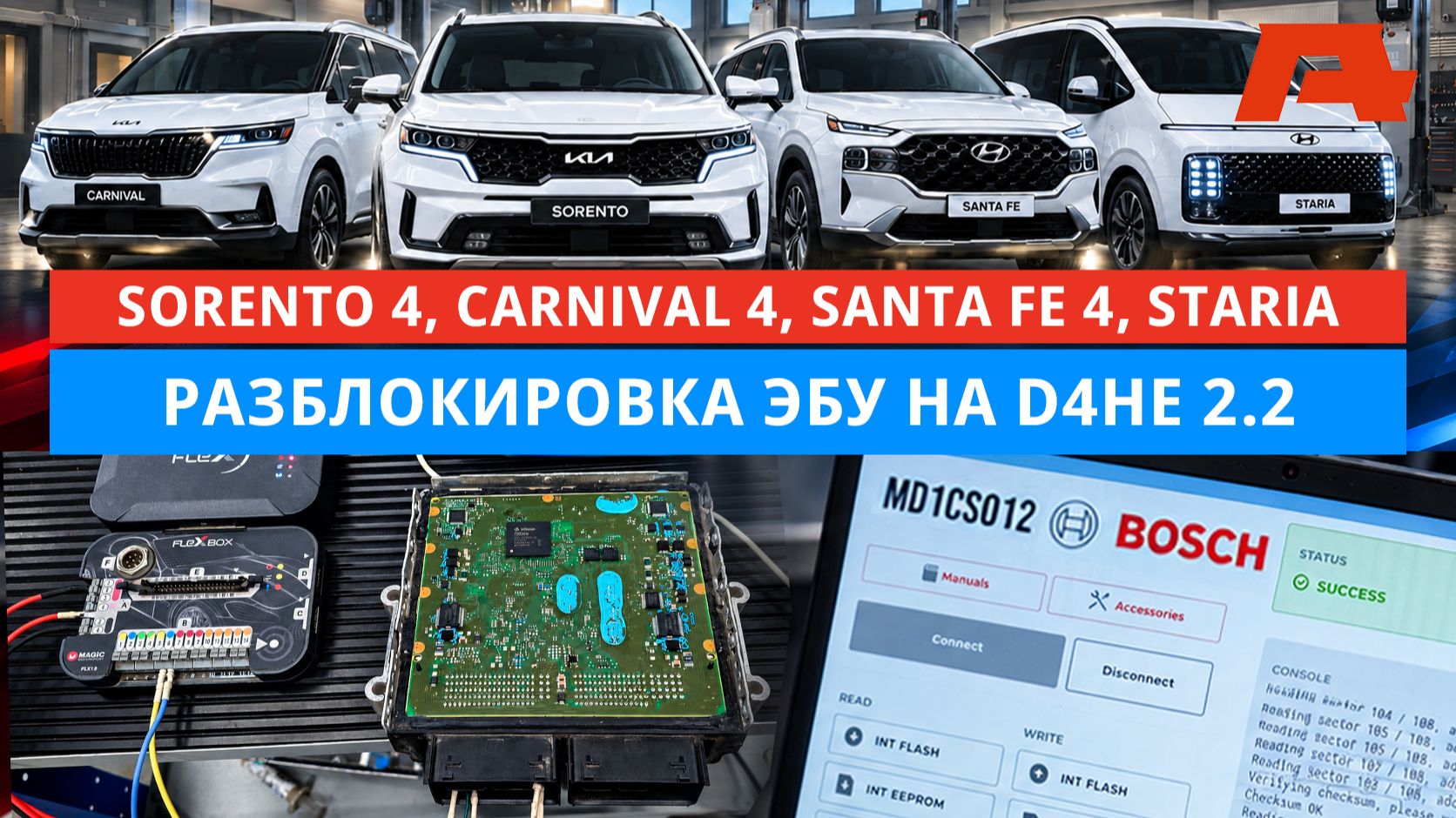 Kia и Hyundai