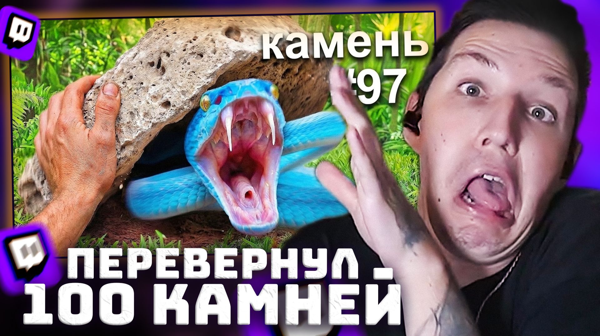 Перевернул 100 камней в экзотических джунглях | РЕАКЦИЯ МАЗЕЛЛОВА