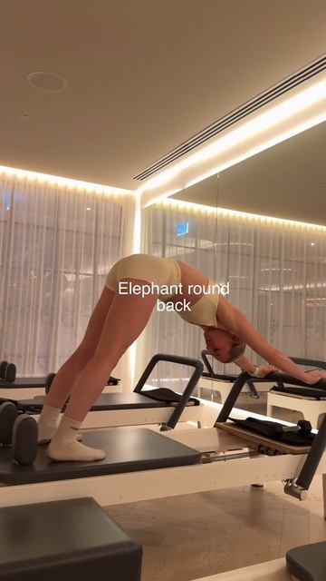 Try This Reformer Flow 🦋 #reformer #pilates