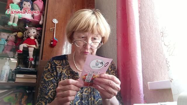 18.9.26. Пока я прохлаждаюсь,Коля весь в делах/ отвечу на комментарии