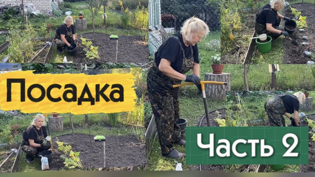 ДАЧНЫЙ СЕЗОН 2026