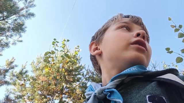 червь пожиратель