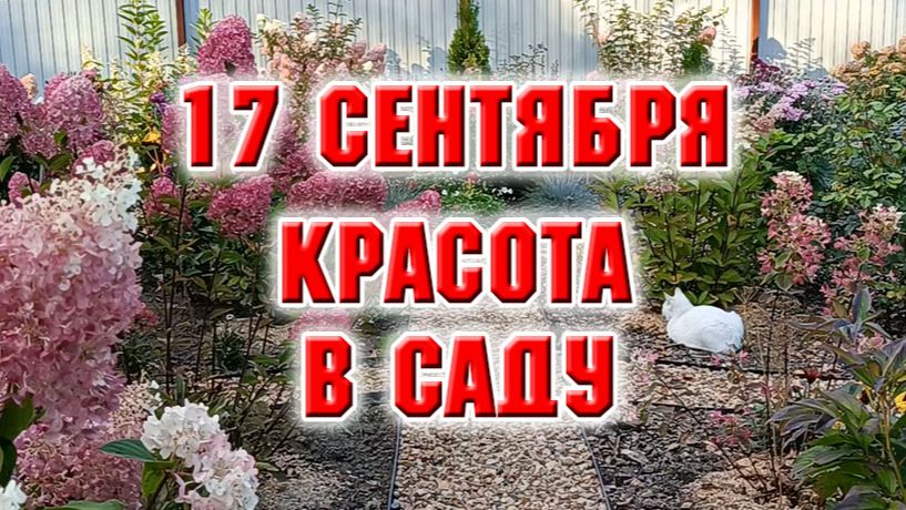 Любимая дача