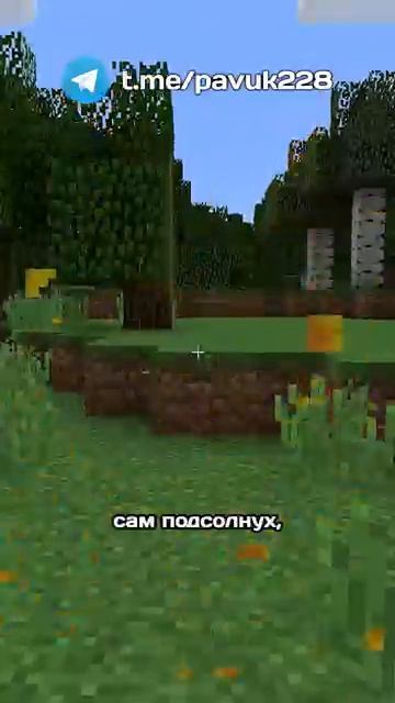 не шути с подсолнухами майнкрафт