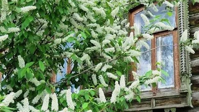 Стихи в прозе.