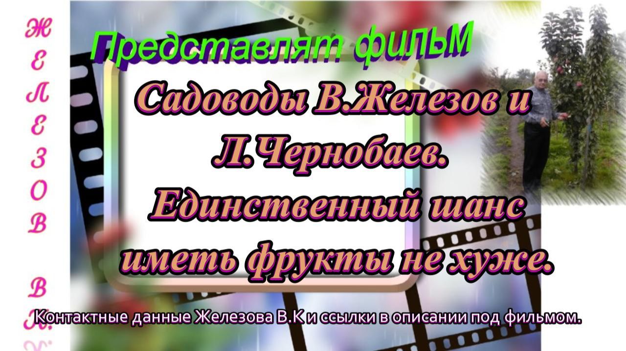 Садоводы В.Железов и Л.Чернобаев.  Единственный шанс иметь фрукты не хуже.