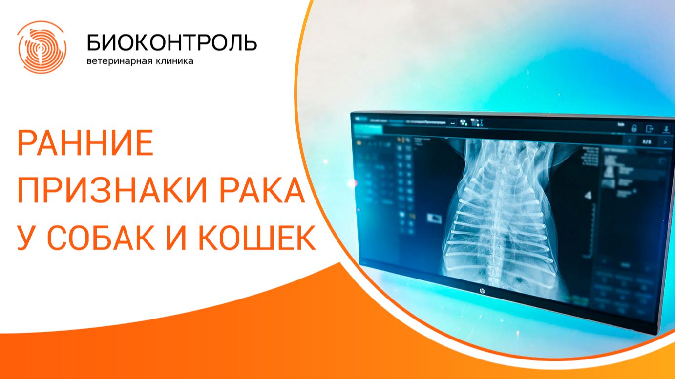 🔎 Ранние признаки рака у собак и кошек. Онкология у домашних животных. Культура онкопоиска.