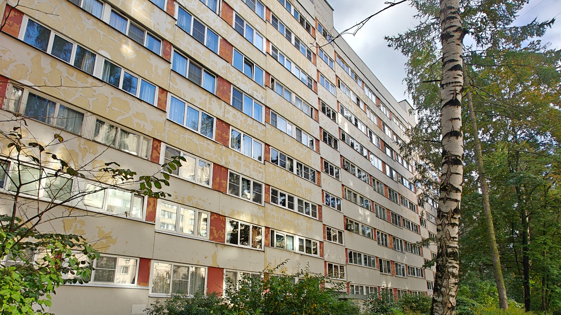 Аренда квартиры Светлановский пр. 115