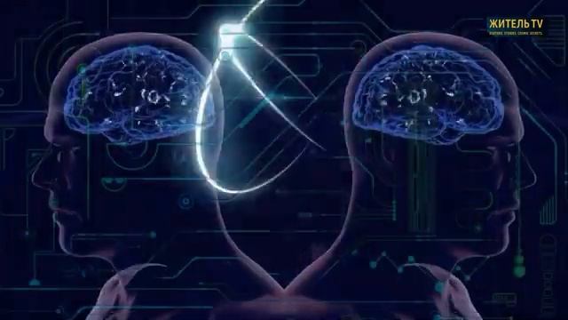 Проект Лулу Психическая архитектура вечной борьбы 1 часть .