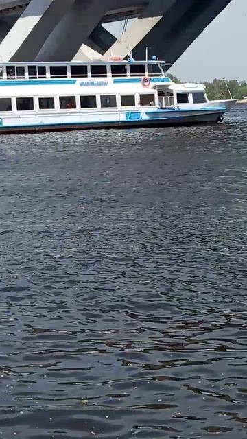 Смешное видео
