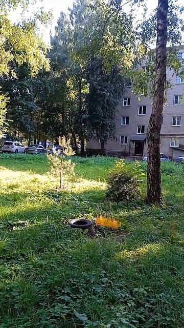 Природа, музыка для сна и расслабления. Камин. Костёр.