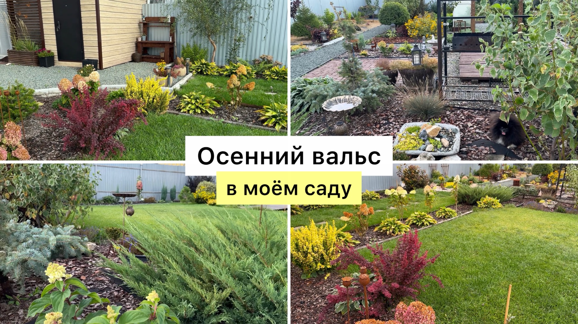 Осенняя прогулка по саду! Сезон заканчивается!