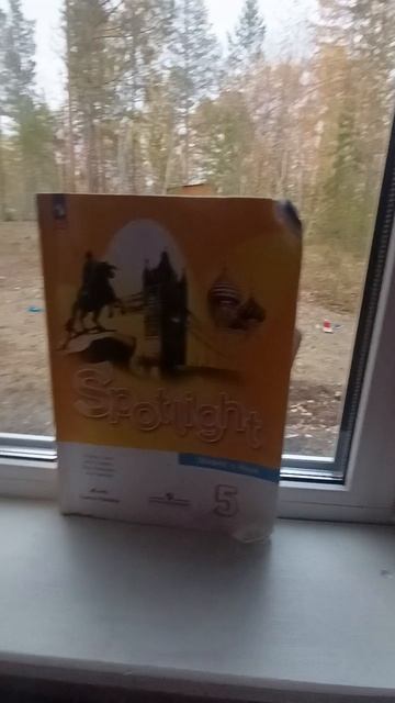 вот бы так было…