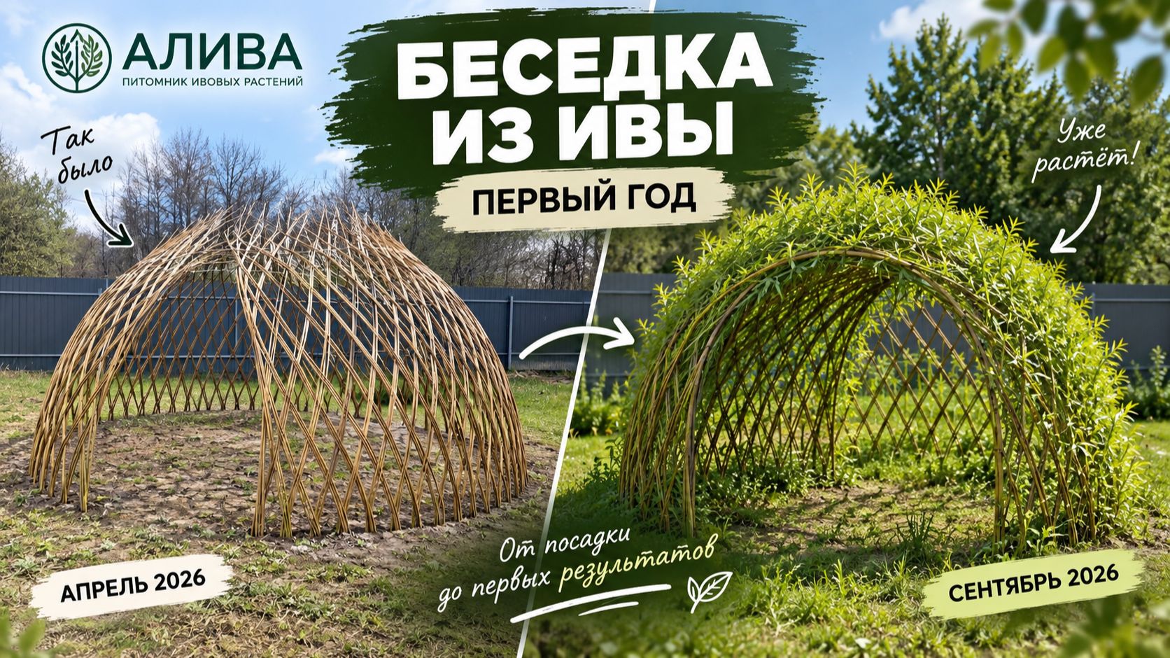 Обзоры
