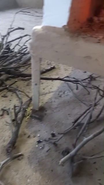 По простому по домашнему на костре 👍🔥