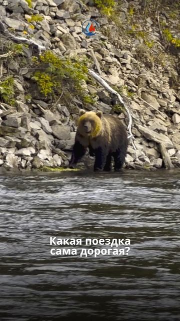 Рыбалка