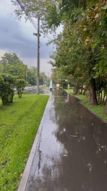 Если погода нехорошая значит нужно брать зонт или вообще ничего не делать и сидеть дома 🏠