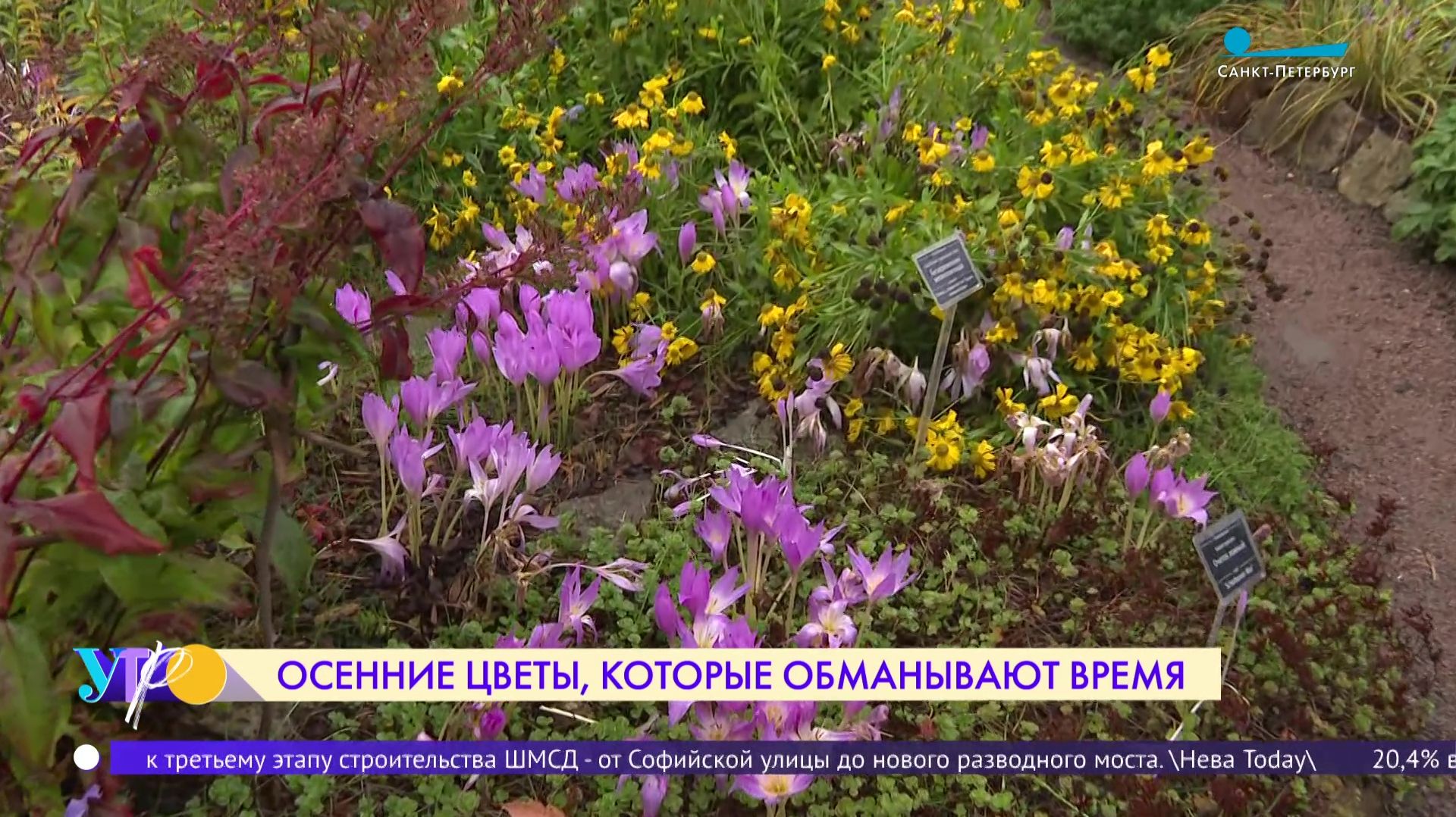 Ботанический сад