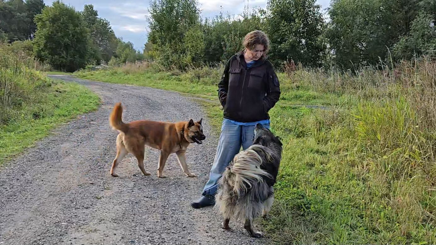 Новая задачка, лесные сюрпризы и русская печка