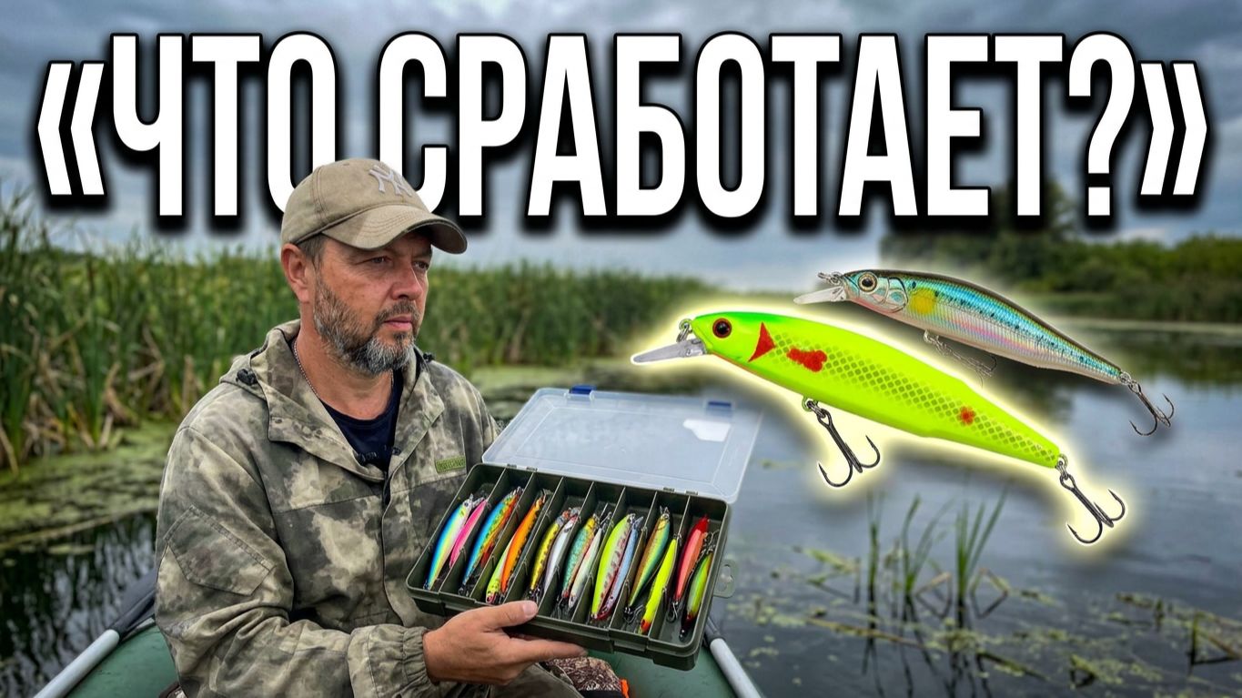 Ловля хищной рыбы