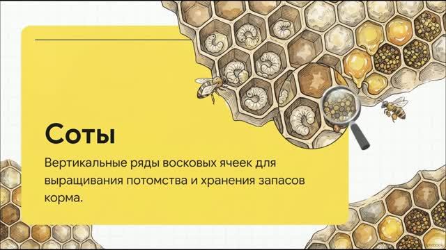 Биология 8 класс Суматохина углубленный уровень краткое содержание параграфов
