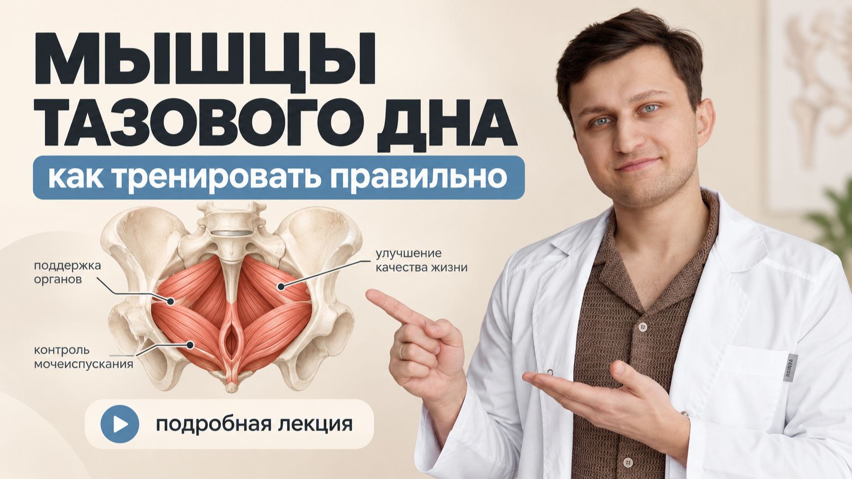 МЫШЦЫ ТАЗОВОГО ДНА: самый подробный разбор