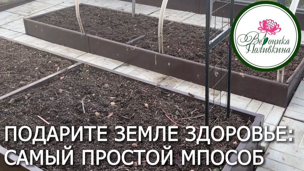 Подарите земле здоровье. Заправляем грядку золой осенью