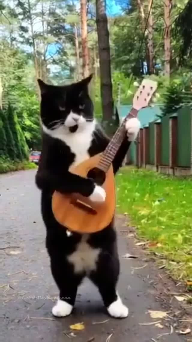 Короче, Склифосовский