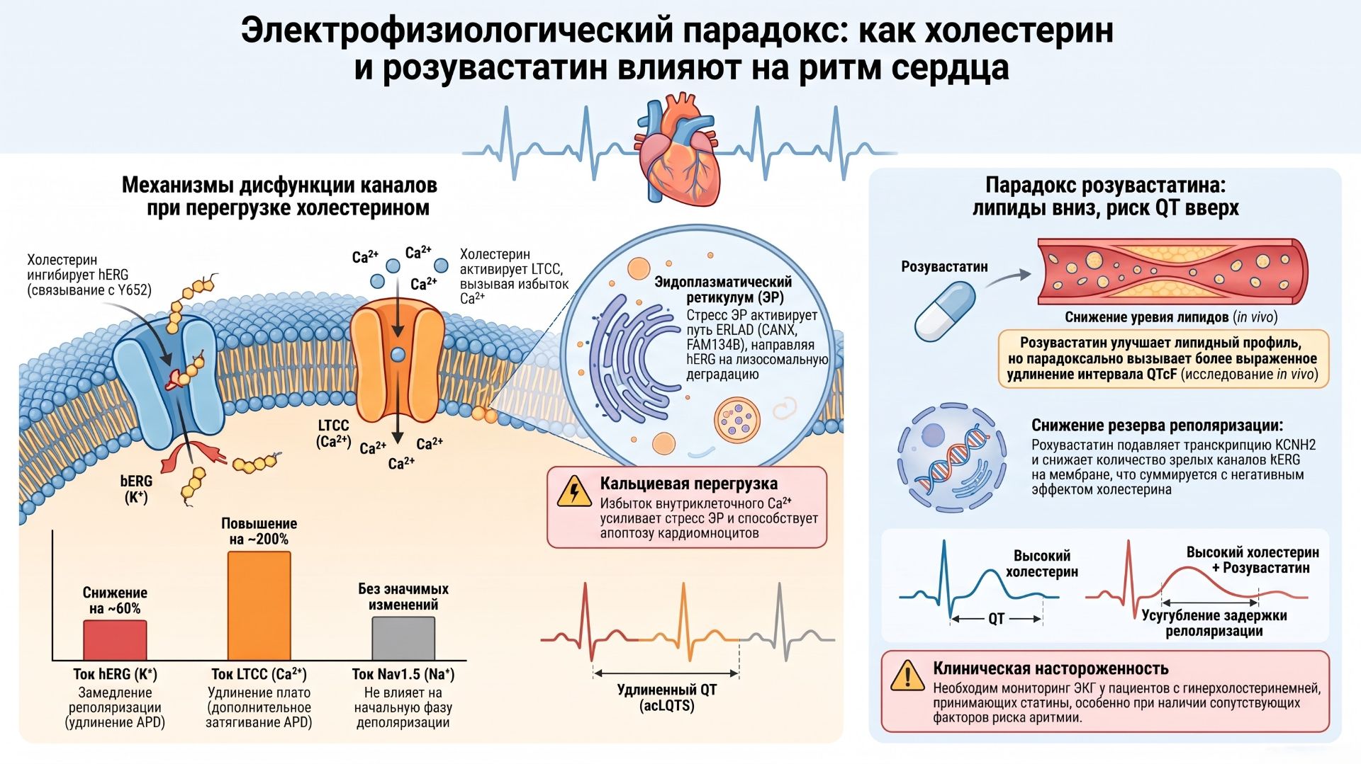 Rosuvastatin 5, 10, 20 mg