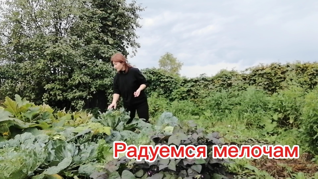 Радуемся мелочам и ждем бабье лето.