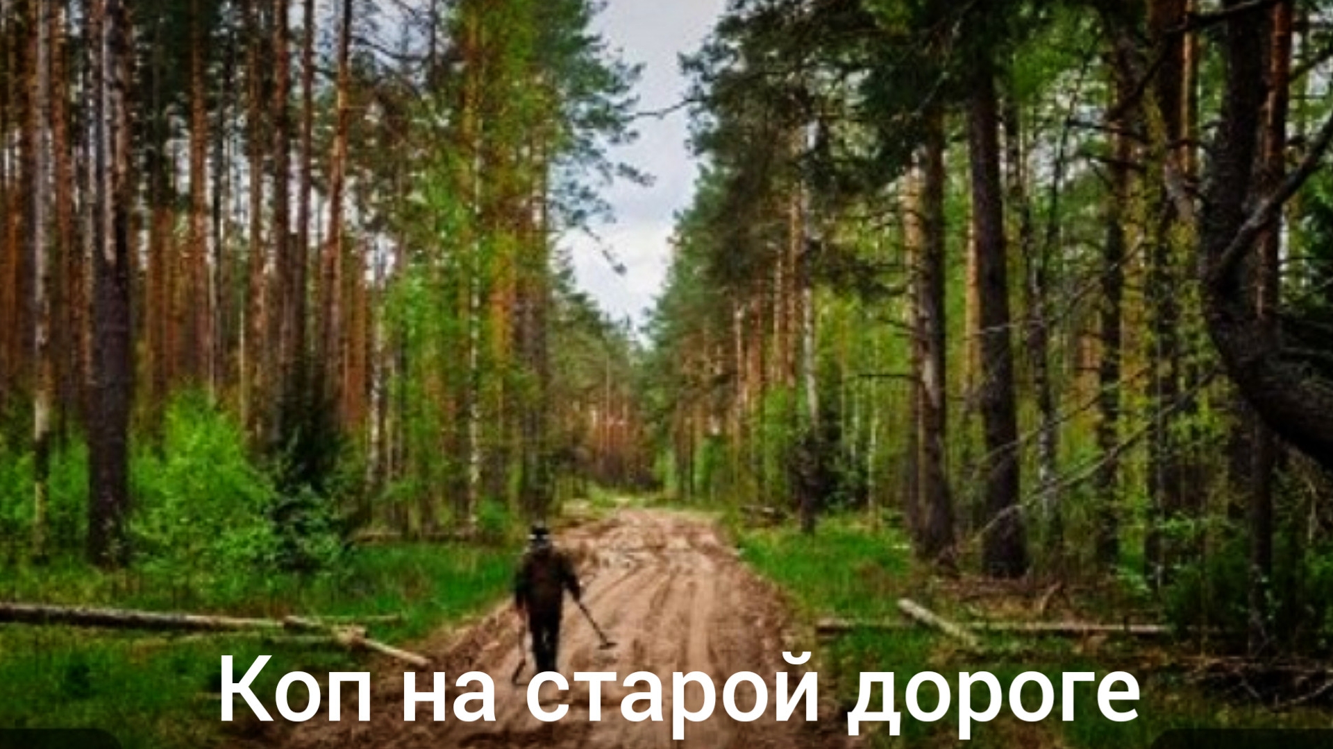Коп на старой дороге