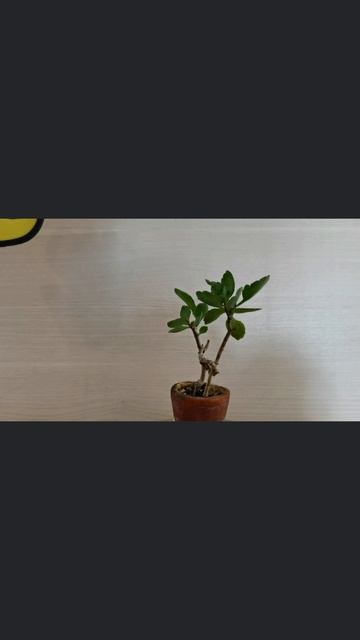 Присоединяйся к каналу по ссылке: Https://max.ru/join/SU5HJ4GiCHYXnyq2Hs7GDFn3I1c0L3qHxyj-xQqjXjU