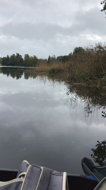 Рыбалка